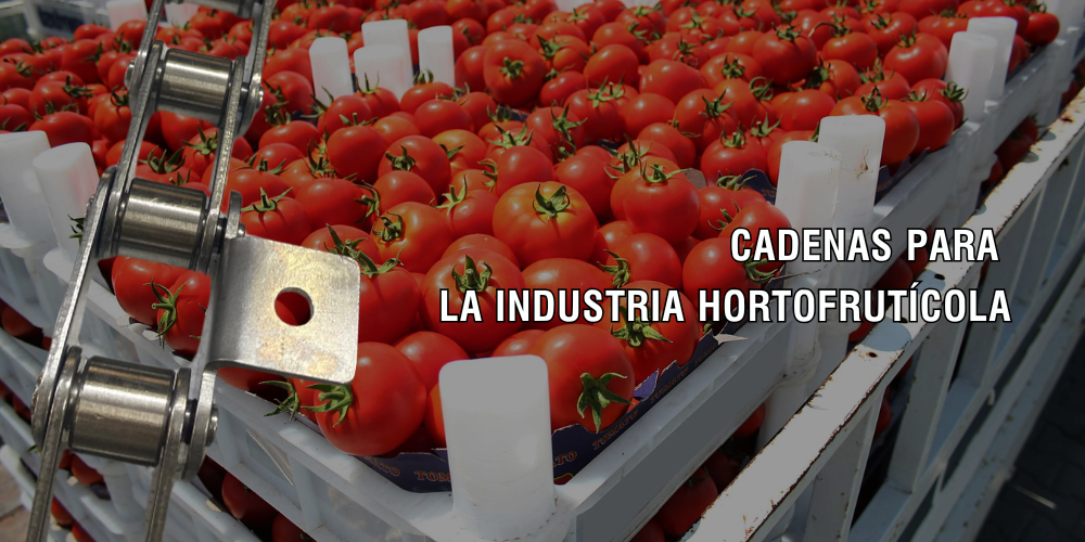 Cadenas para la industria hortofrutícola